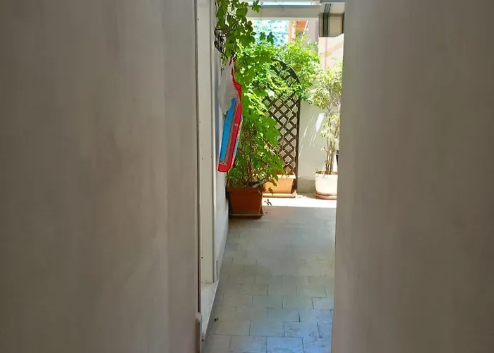 L'arco *